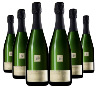 Champagne 1er Cru Blanc de Blancs Vendemiaire Brut Domaine Doyard NV   6 pack